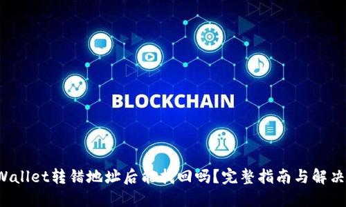 TP Wallet转错地址后能找回吗？完整指南与解决方案