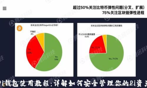 
Pi钱包使用教程：详解如何安全管理你的Pi资产