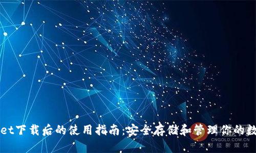 TPWallet下载后的使用指南：安全存储和管理你的数字资产