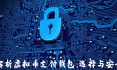 全面解析虚拟币支付钱包：选择与安全指南