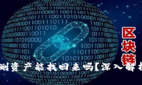 TPWallet误删资产能找回来吗？深入解析与恢复方法