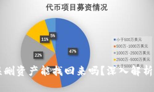 TPWallet误删资产能找回来吗？深入解析与恢复方法