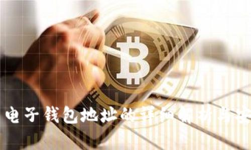 虚拟币电子钱包地址的详细解析与安全指南
