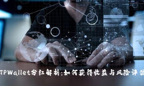 TPWallet分红解析：如何获得收益与风险评估