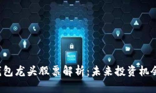 区块链钱包龙头股票解析：未来投资机会在哪里？