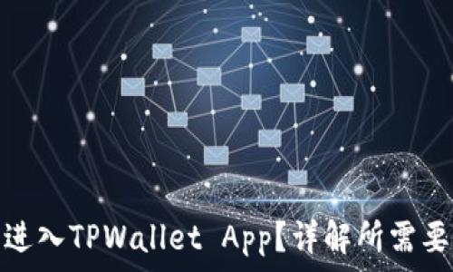  
如何成功进入TPWallet App？详解所需要求与步骤