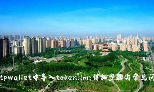 如何在tpwallet中导入token.im：详细步骤与常见问题解答