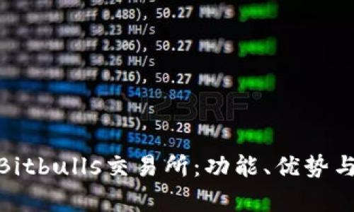 全面解析Bitbulls交易所：功能、优势与用户体验