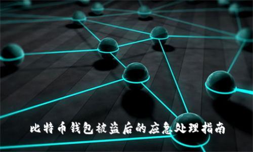 比特币钱包被盗后的应急处理指南