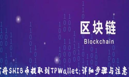 
如何将SHIB币提取到TPWallet：详细步骤与注意事项