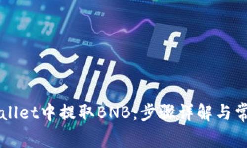 如何在TPWallet中提取BNB：步骤详解与常见问题解析