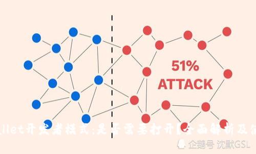 : TPWallet开发者模式：是否需要打开？全面解析及使用指南