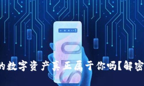TPWallet：你的数字资产真正属于你吗？解密钱包运作原理