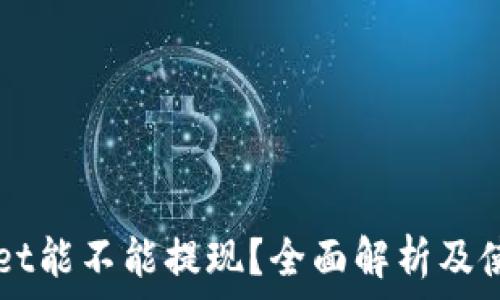   
TPWallet能不能提现？全面解析及使用指南