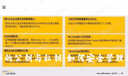 深入解析Pi币的公钥与私钥：如何安全管理你的数字资产