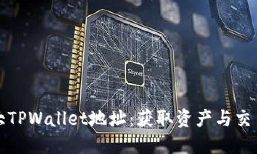 揭秘最大TPWallet地址：获取资产与交易的秘密