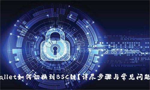 TPWallet如何切换到BSC链？详尽步骤与常见问题解析