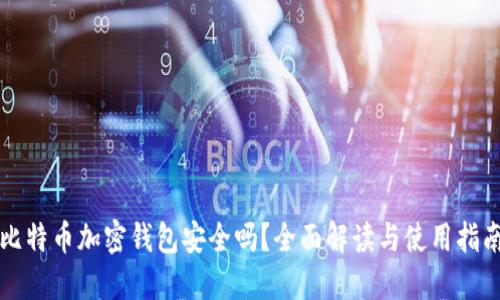 比特币加密钱包安全吗？全面解读与使用指南