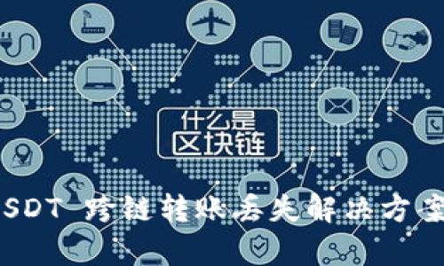 tpwallet USDT 跨链转账丢失解决方案及预防措施