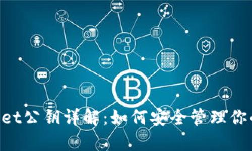 TokenPocket公钥详解：如何安全管理你的数字资产