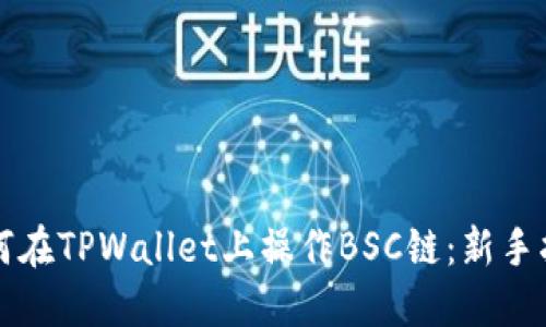 如何在TPWallet上操作BSC链：新手指南