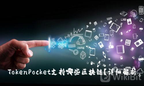 TokenPocket支持哪些区块链？详细解析