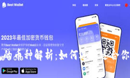 区块链钱包的币种解析：如何选择适合你的数字资产