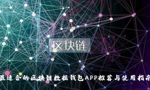 最适合的区块链数据钱包APP推荐与使用指南