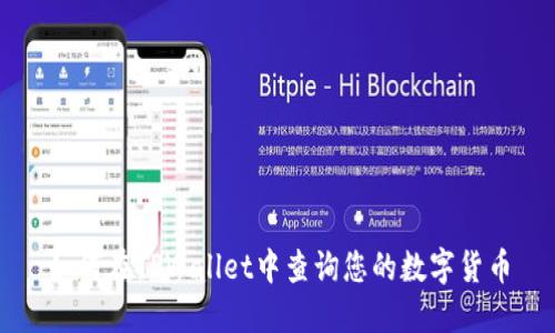 如何在TPWallet中查询您的数字货币