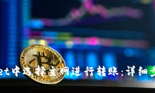 如何在TPWallet中选择主网进行转账：详细步骤与注意事项