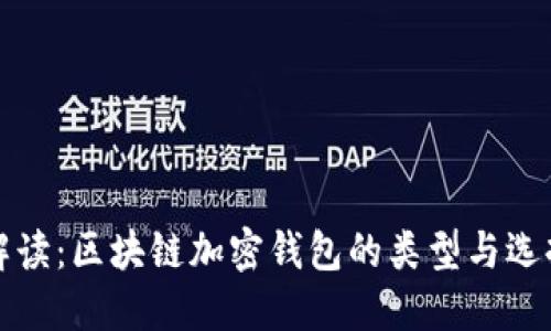 全面解读：区块链加密钱包的类型与选择指南