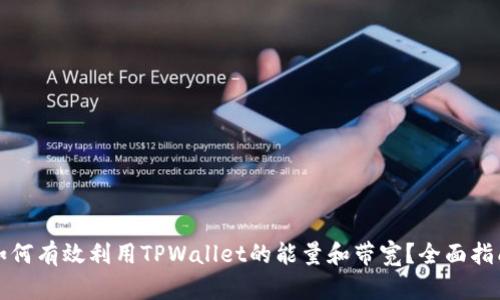 如何有效利用TPWallet的能量和带宽？全面指南
