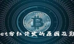 TPWallet分红停发的原因及影响分析