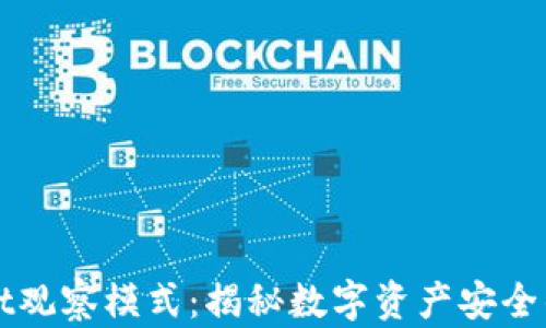 
TPWallet观察模式：揭秘数字资产安全的新标准