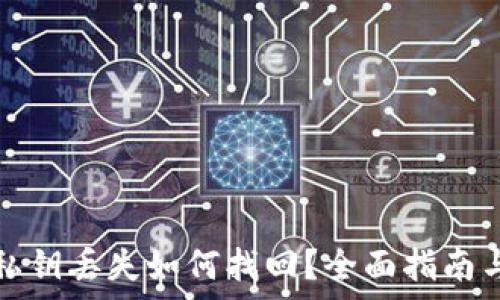   
tpwallet私钥丢失如何找回？全面指南与解决方案