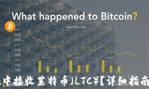 
如何在TPWallet中接收莱特币（LTC）？详细指南及常见问题解答