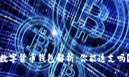 数字货币钱包解析：你能透支吗？