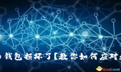 数字币钱包损坏了？教你如何应对和修复