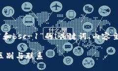 当然可以，以下是围绕“tpwalletbnb-1和bsc-1”的、