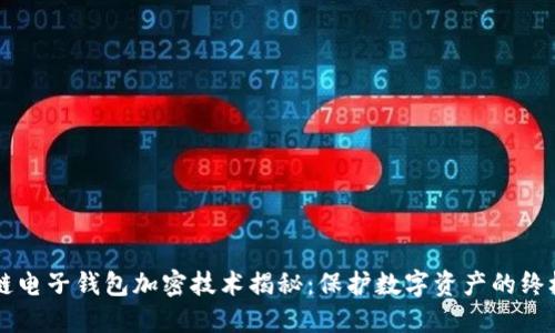 区块链电子钱包加密技术揭秘：保护数字资产的终极指南
