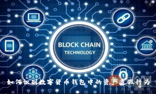 如何识别数字货币钱包中的资产造假行为