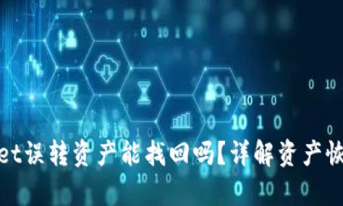 tpwallet误转资产能找回吗？详解资产恢复方法