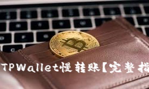 如何选择TPWallet慢转账？完整指南与技巧