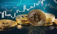 biasiTP Wallet提币网络详解：全方位指导与常见问题