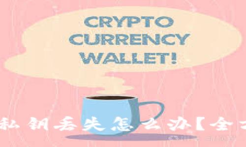 :
biatoittpwallet私钥丢失怎么办？全方位解决方案解析