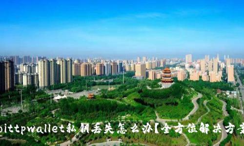 :
biatoittpwallet私钥丢失怎么办？全方位解决方案解析