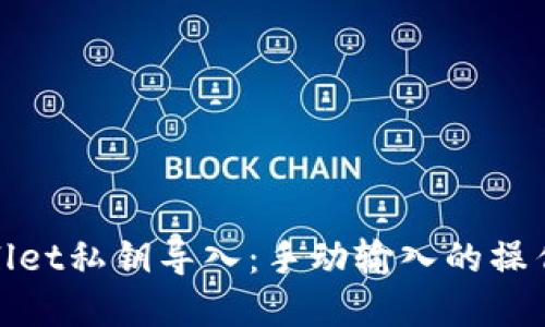 tpwallet私钥导入：手动输入的操作指南