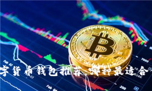 数字货币钱包推荐：哪种最适合你？