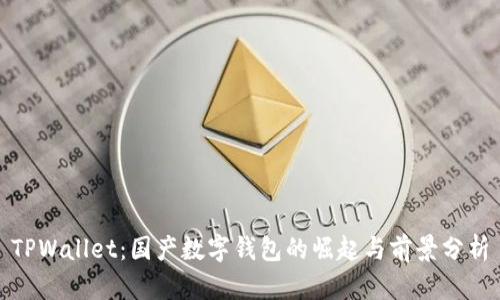 TPWallet：国产数字钱包的崛起与前景分析