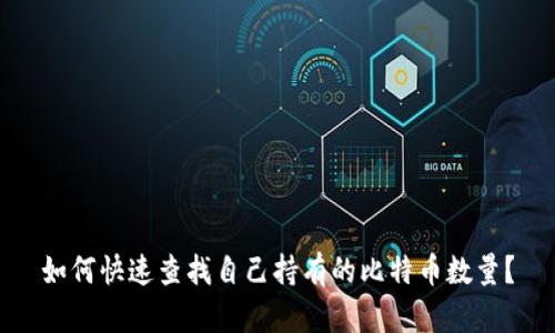 如何快速查找自己持有的比特币数量？